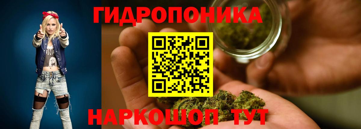 Бошки марихуана гибрид  Бошки Шишки планчик  Каннабис индика  Канабис планчик  Таганрог  Вход с VPN 